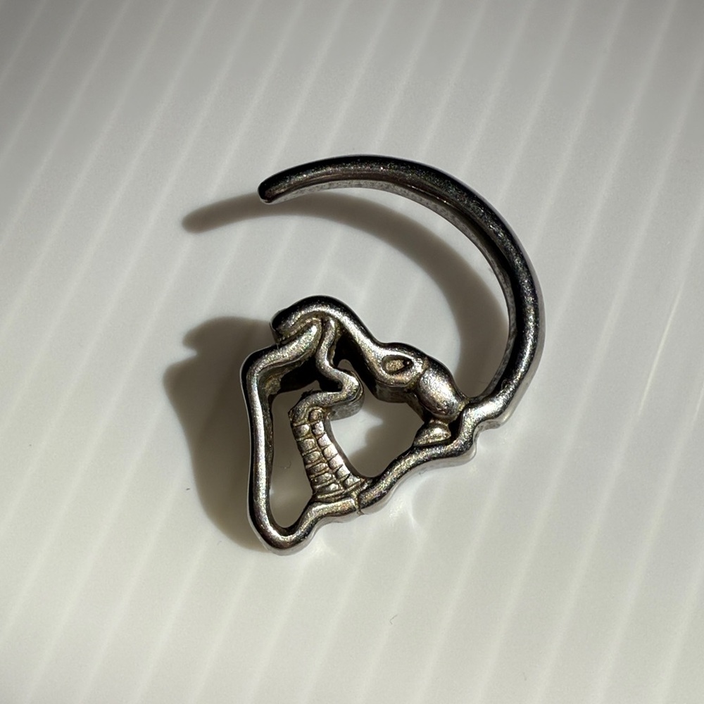 Stainless Steel Skull Earrings
